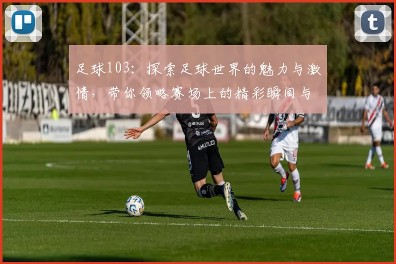 足球103：探索足球世界的魅力与激情，带你领略赛场上的精彩瞬间与战术智慧