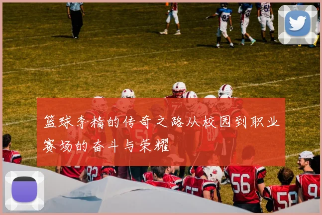 篮球李精的传奇之路从校园到职业赛场的奋斗与荣耀