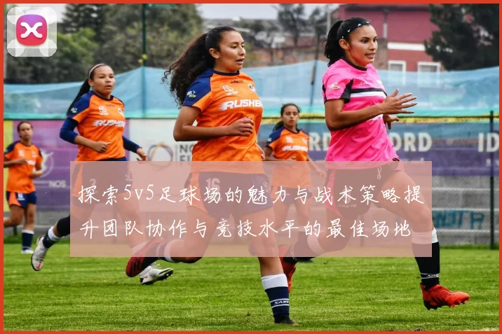 探索5v5足球场的魅力与战术策略提升团队协作与竞技水平的最佳场地选择