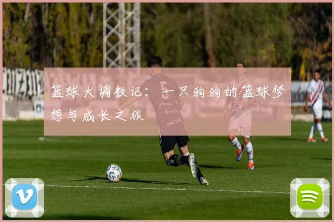 篮球犬调教记：一只狗狗的篮球梦想与成长之旅