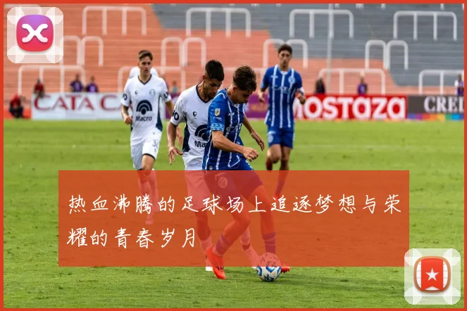 热血沸腾的足球场上追逐梦想与荣耀的青春岁月