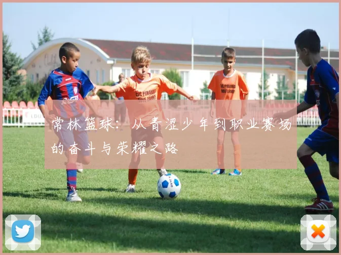 常林篮球：从青涩少年到职业赛场的奋斗与荣耀之路