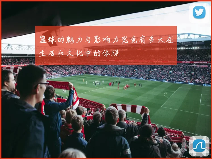 篮球的魅力与影响力究竟有多大在生活和文化中的体现