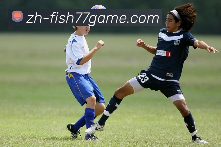 AG捕鱼app下载APP 封面图